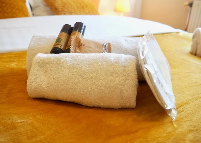 Helvetios Yourhosthelper Caen